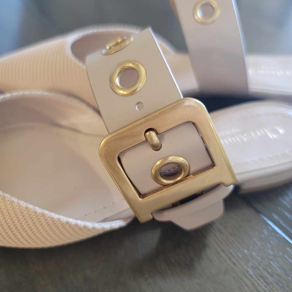 DIOR D-Dior Buckle Mules - Picture 8 of 13